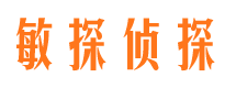 仁化市调查公司